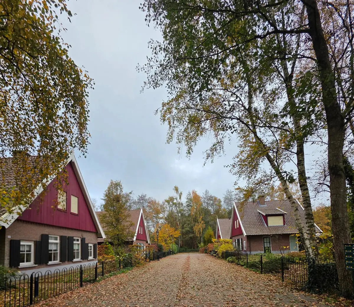 Het park in de herfst