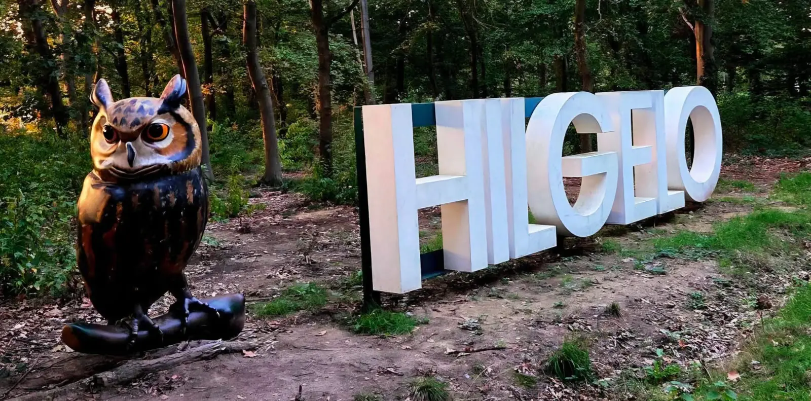 Het Hilgelo-bord met een houten uil aan de rand van het bos