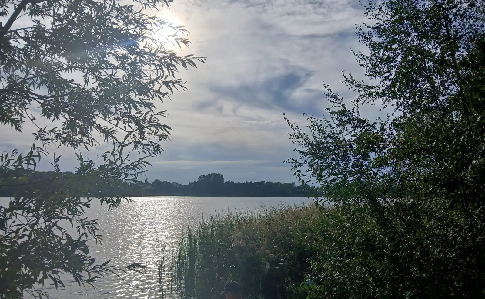 Uitzicht over het Hilgelo tussen de bomen door