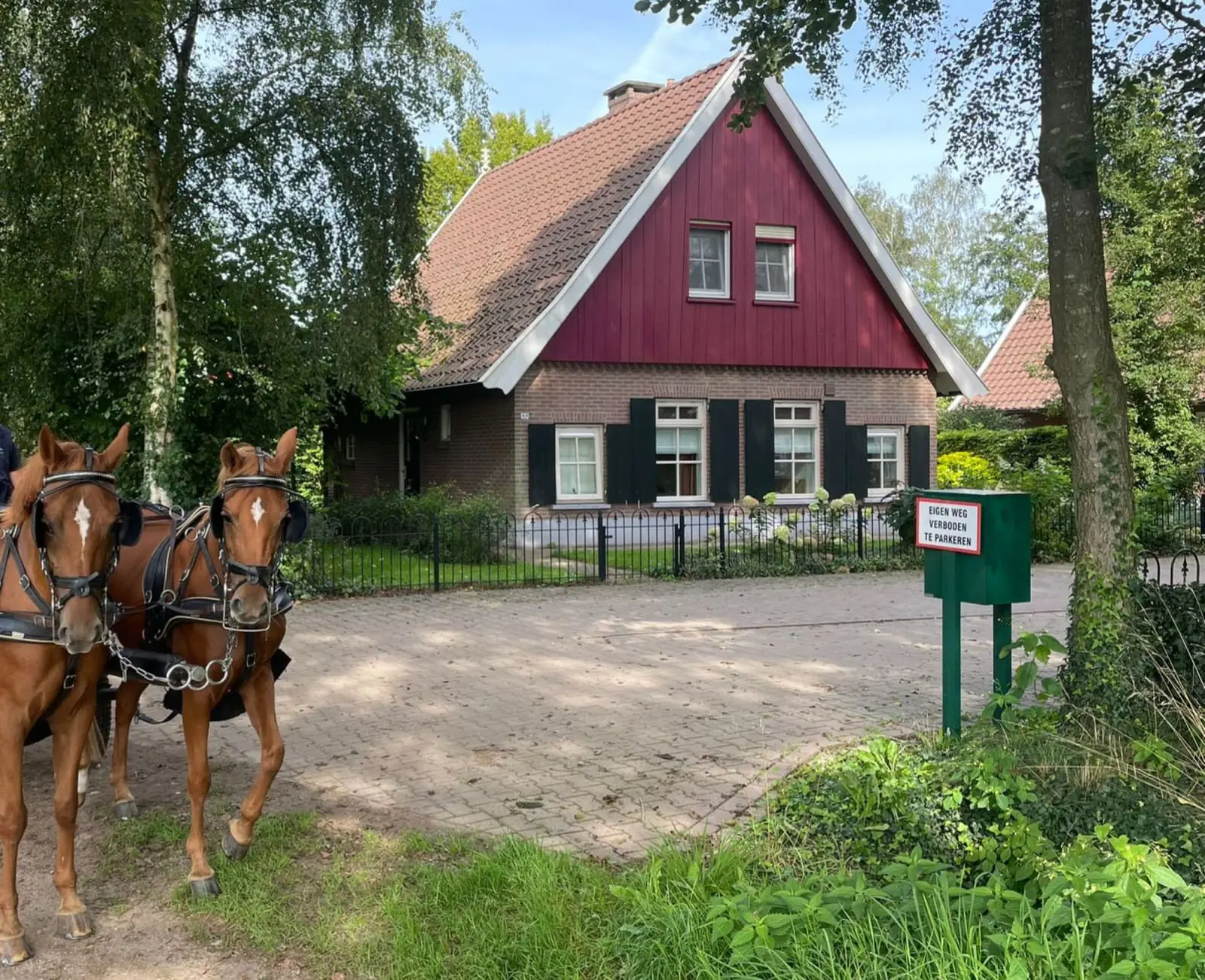 Uw paard gaat gewoon mee op vakantie